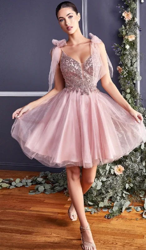 A LINE TULLE MINI DRESS